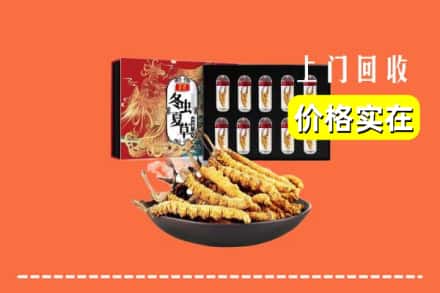 滨城区回收冬虫夏草
