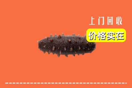 滨城区回收海参