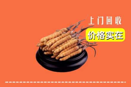 滨城区回收冬虫夏草