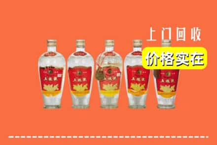 诚信求购:滨城区高价回收老五粮液